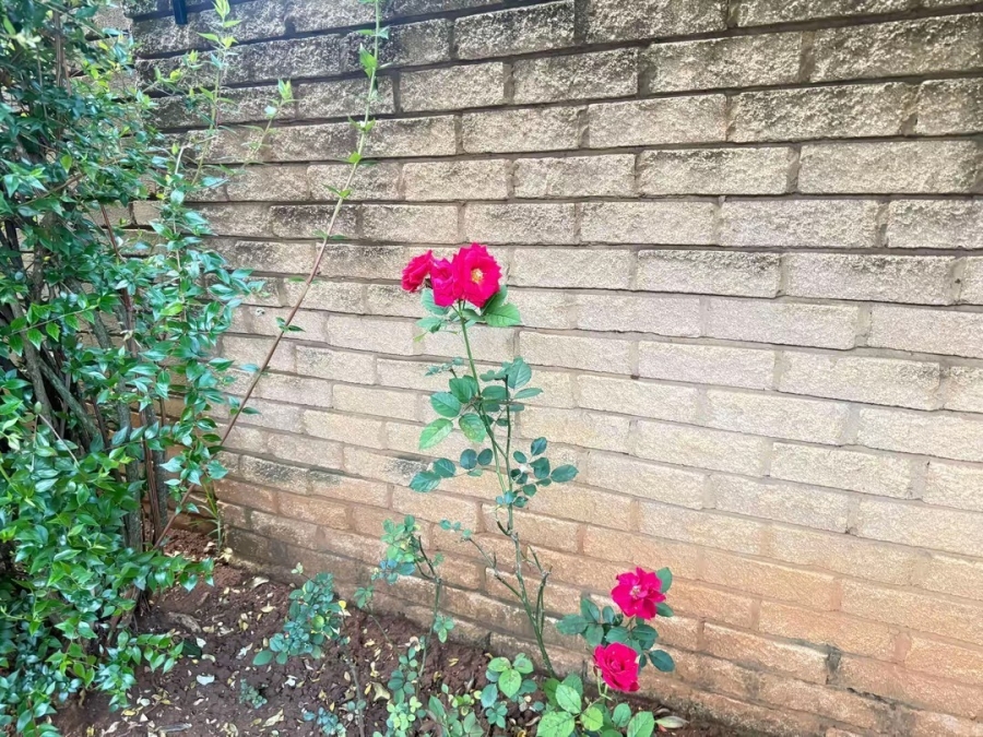 3 Bedroom Property for Sale in Dassie Rand North West